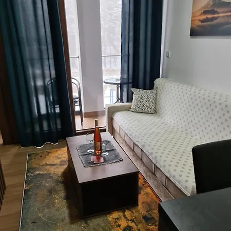 Gavric Borovi 2 Apartmán