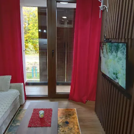Apartmán Gavric Borovi 2 *