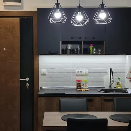 Apartmán Gavric Borovi 2