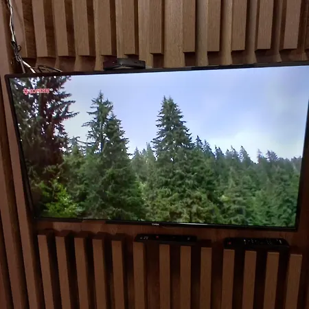 Gavric Borovi 2 公寓 *