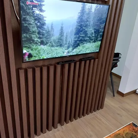 Gavric Borovi 2 公寓 *