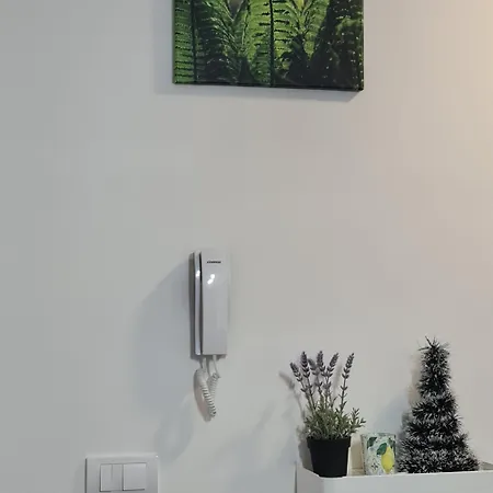 Apartment Gavric Borovi 2 *