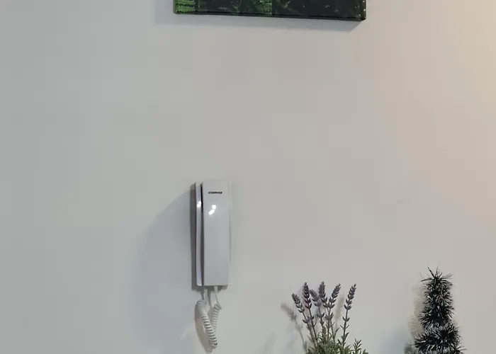 Appartement Gavric Borovi 2 *